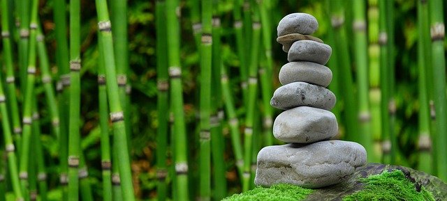 Unity Holistic Wellness Center | Raleigh NC