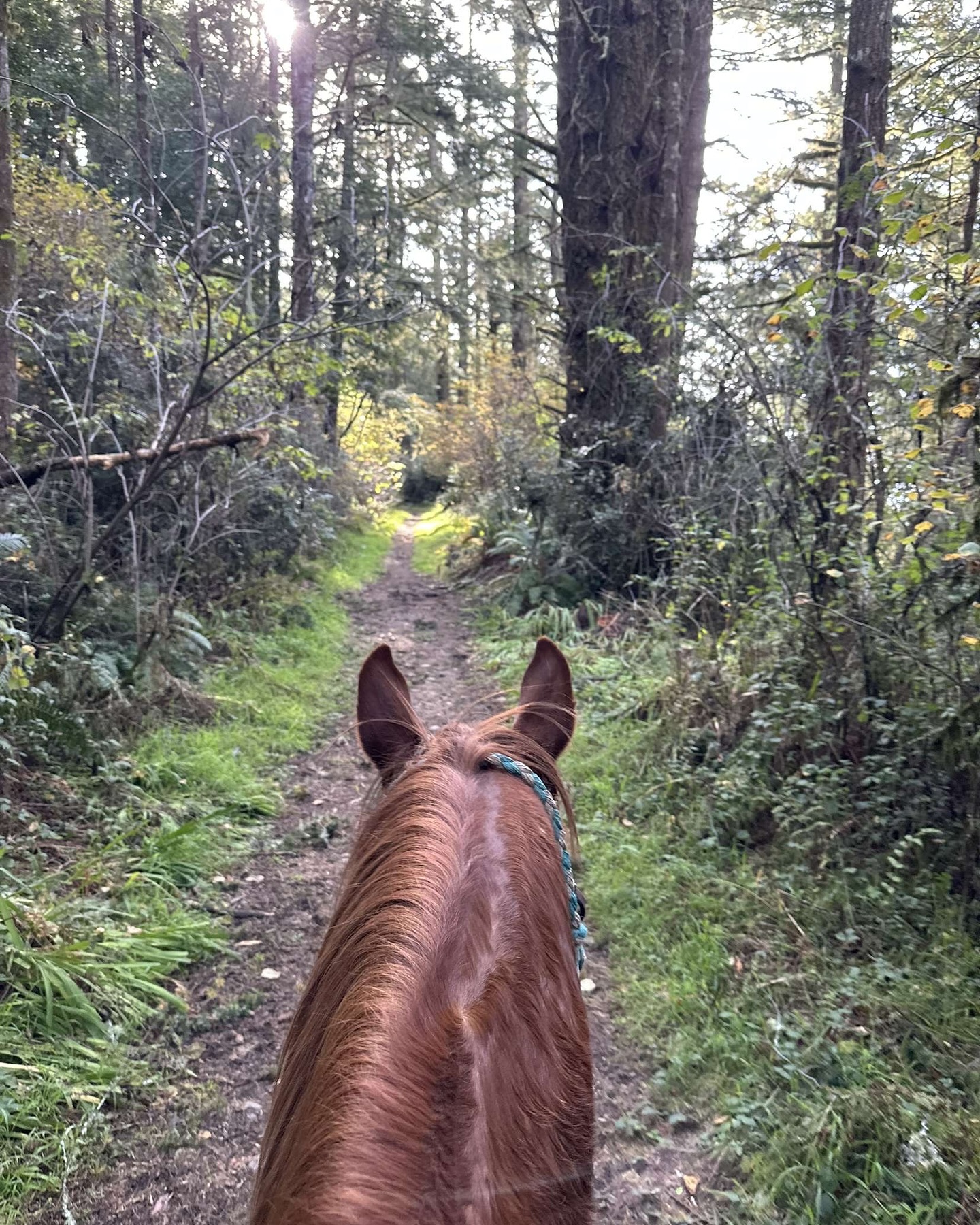 Five Brooks Ranch | Olema CA