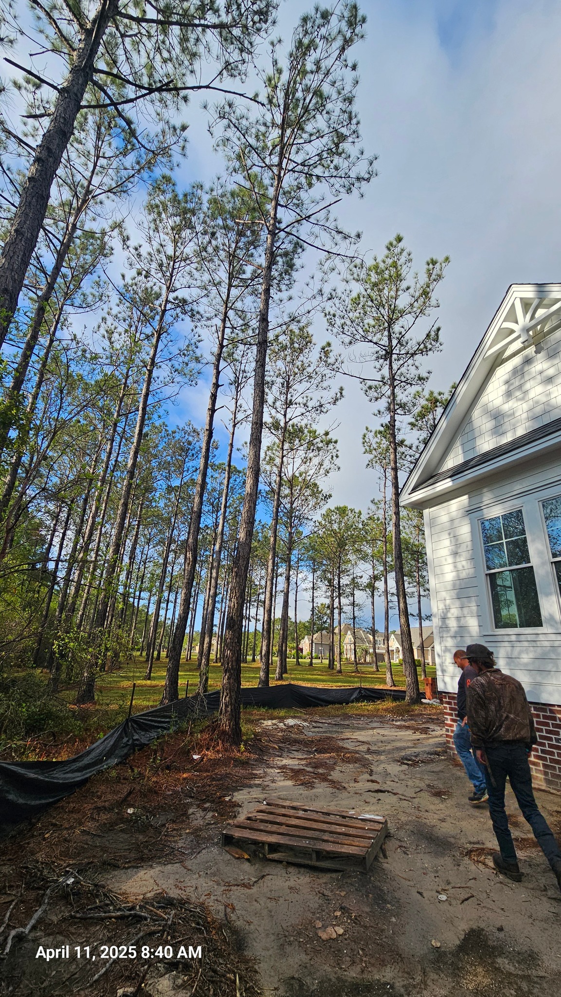A cut above tree... - A cut above tree service Brunswick nc | Facebook