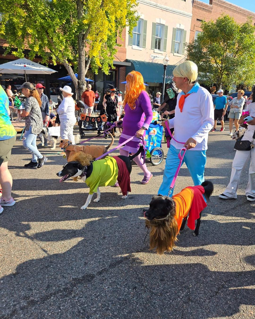 Aiken Downtown... - Aiken Downtown Development Association
