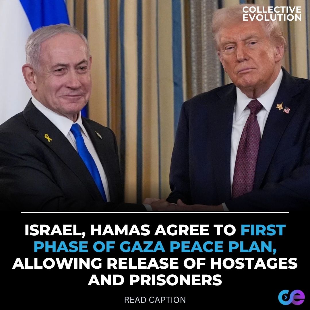 Collective - Israel and Hamas are ready to sign a new ceasefire. Qatar ...