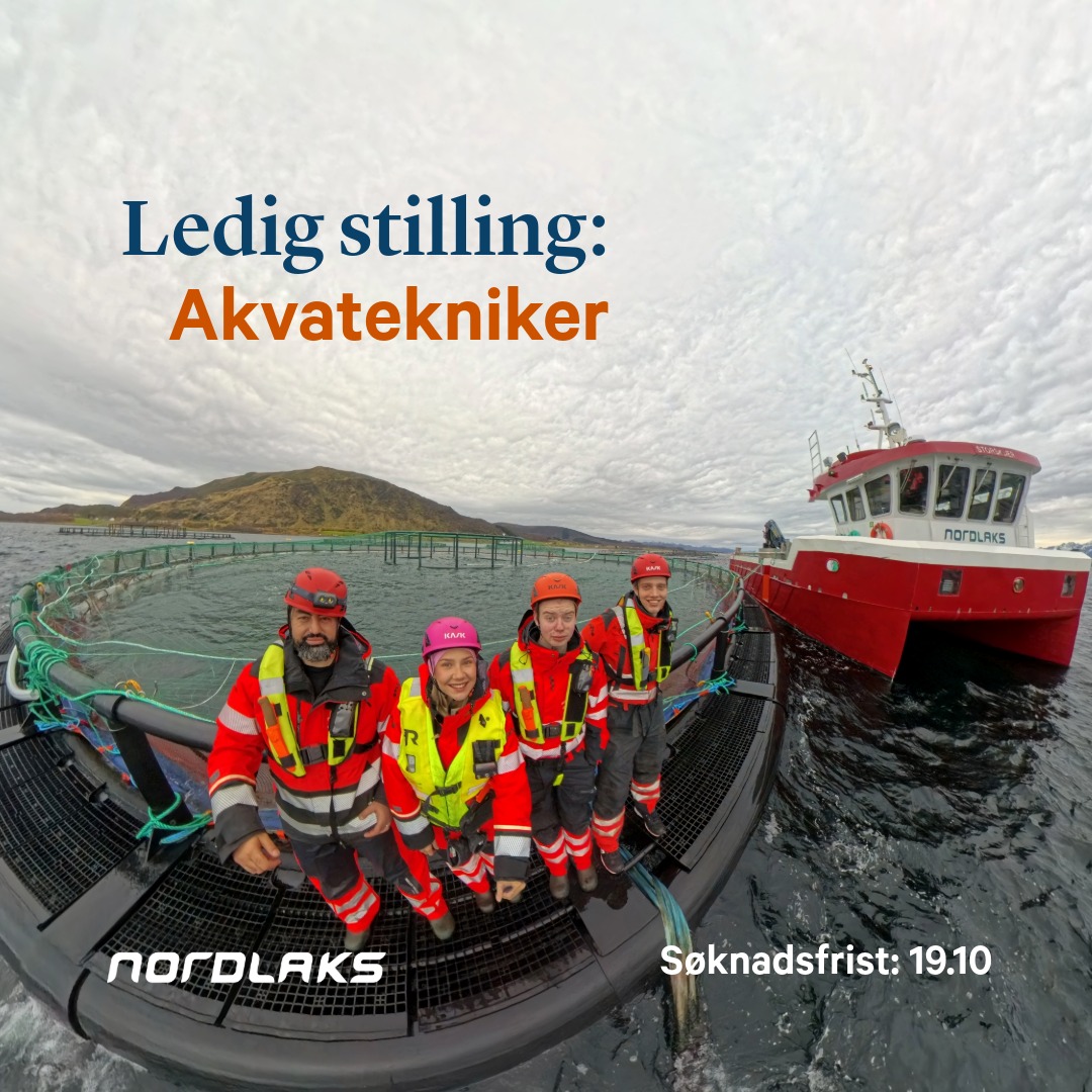 nordlaks-nordlaks-added-a-new-photo