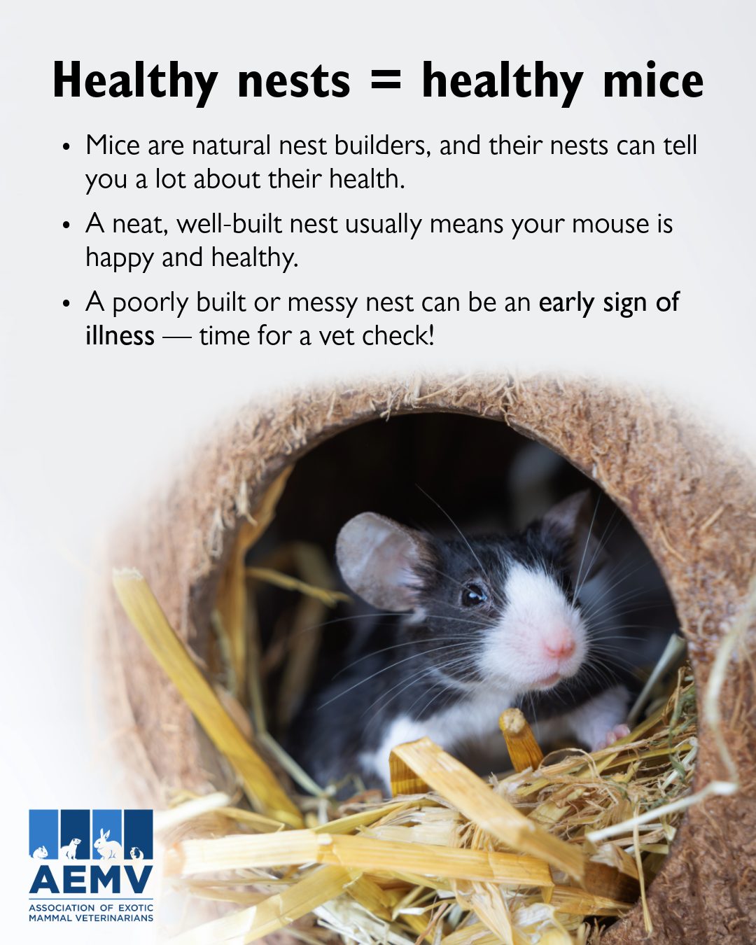 Association... - Association of Exotic Mammal Veterinarians