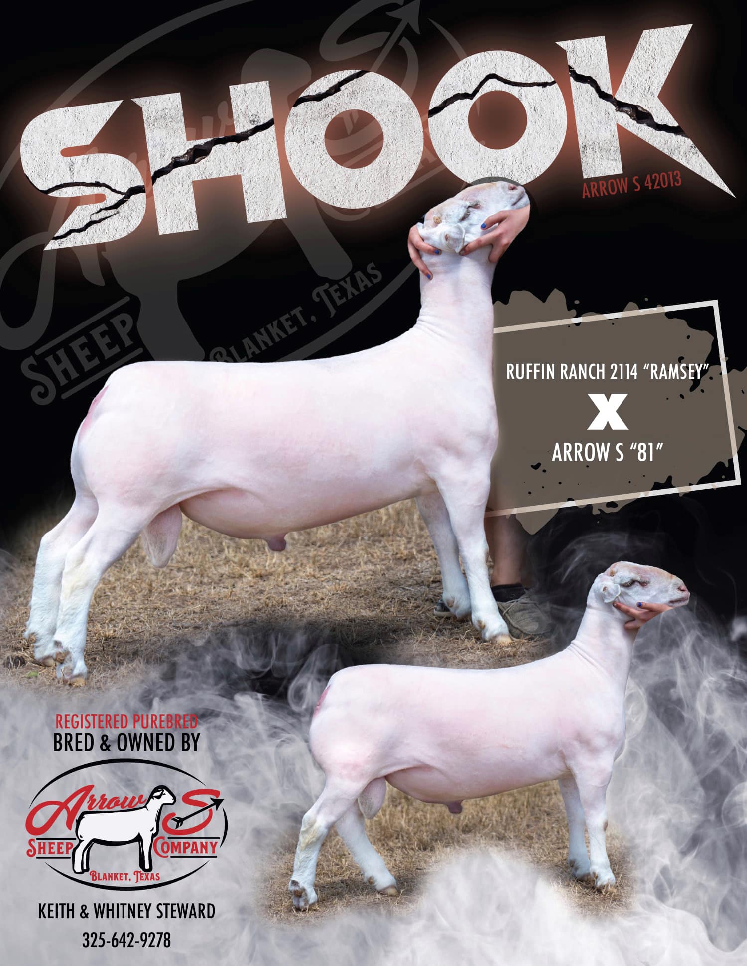 Arrow S Sheep Co.