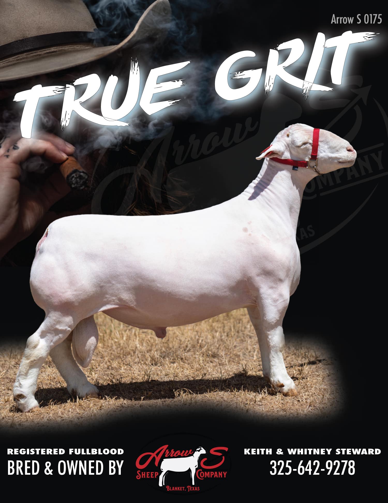 Arrow S Sheep Co.