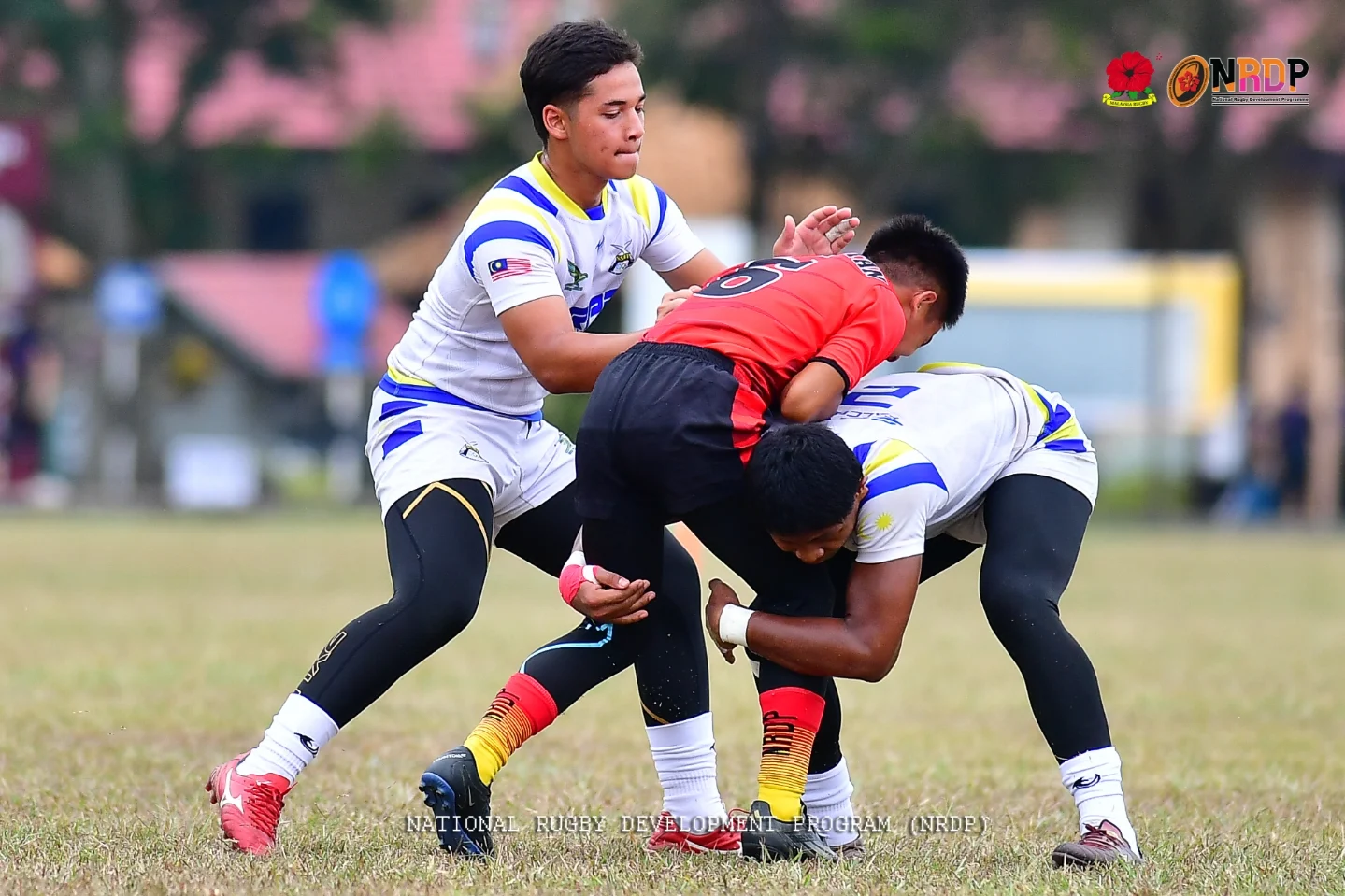 NRDP Malaysia - Rugby Is Back ! Selaras dengan langkah Kerajaan dalam ...