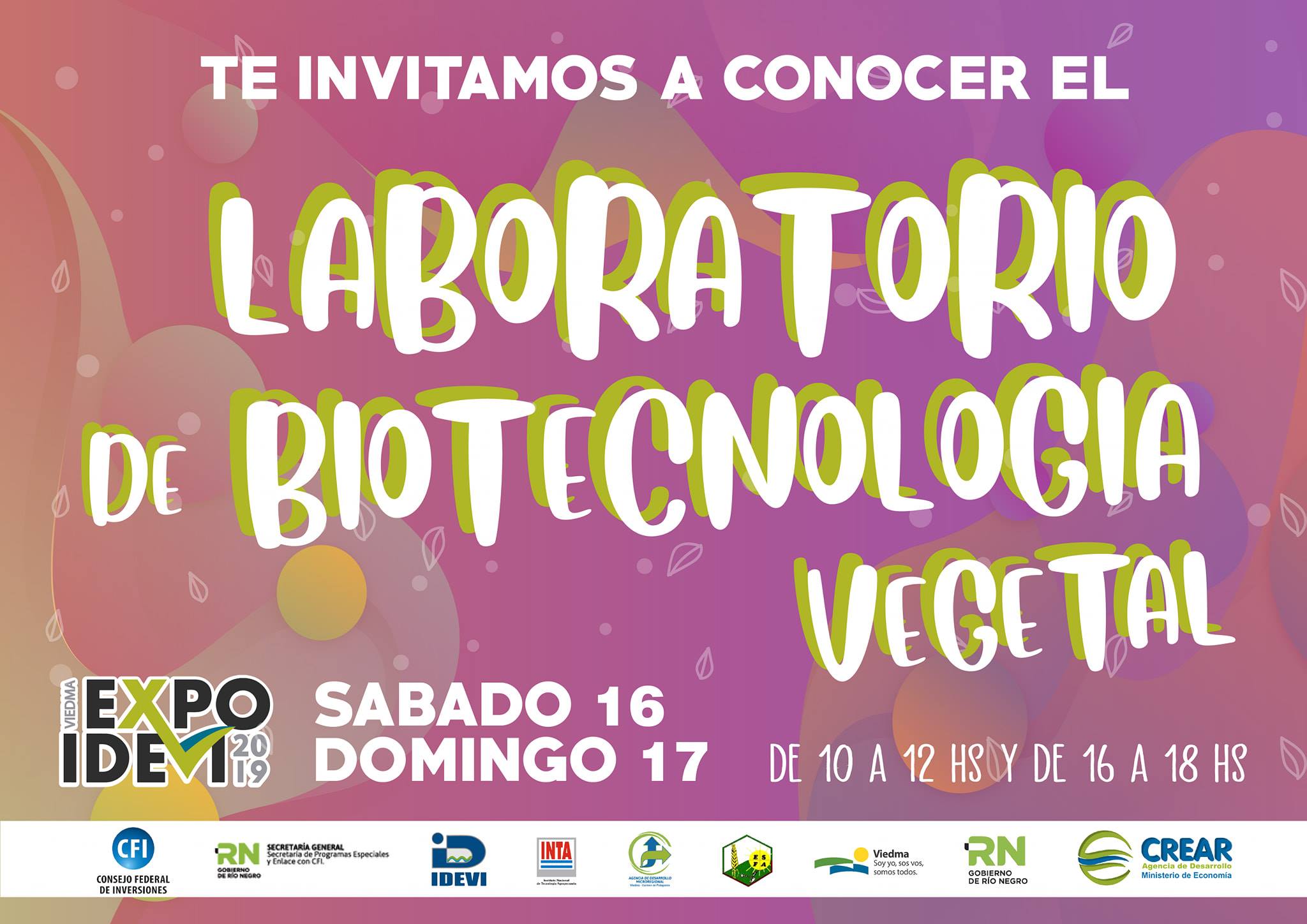 Expo Idevi | Viedma