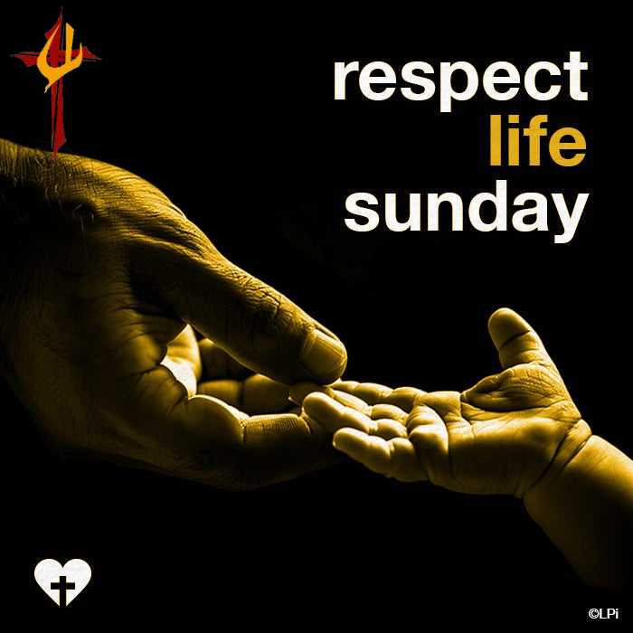 This weekend we celebrate... - Saint Edward Catholic Parish | Facebook