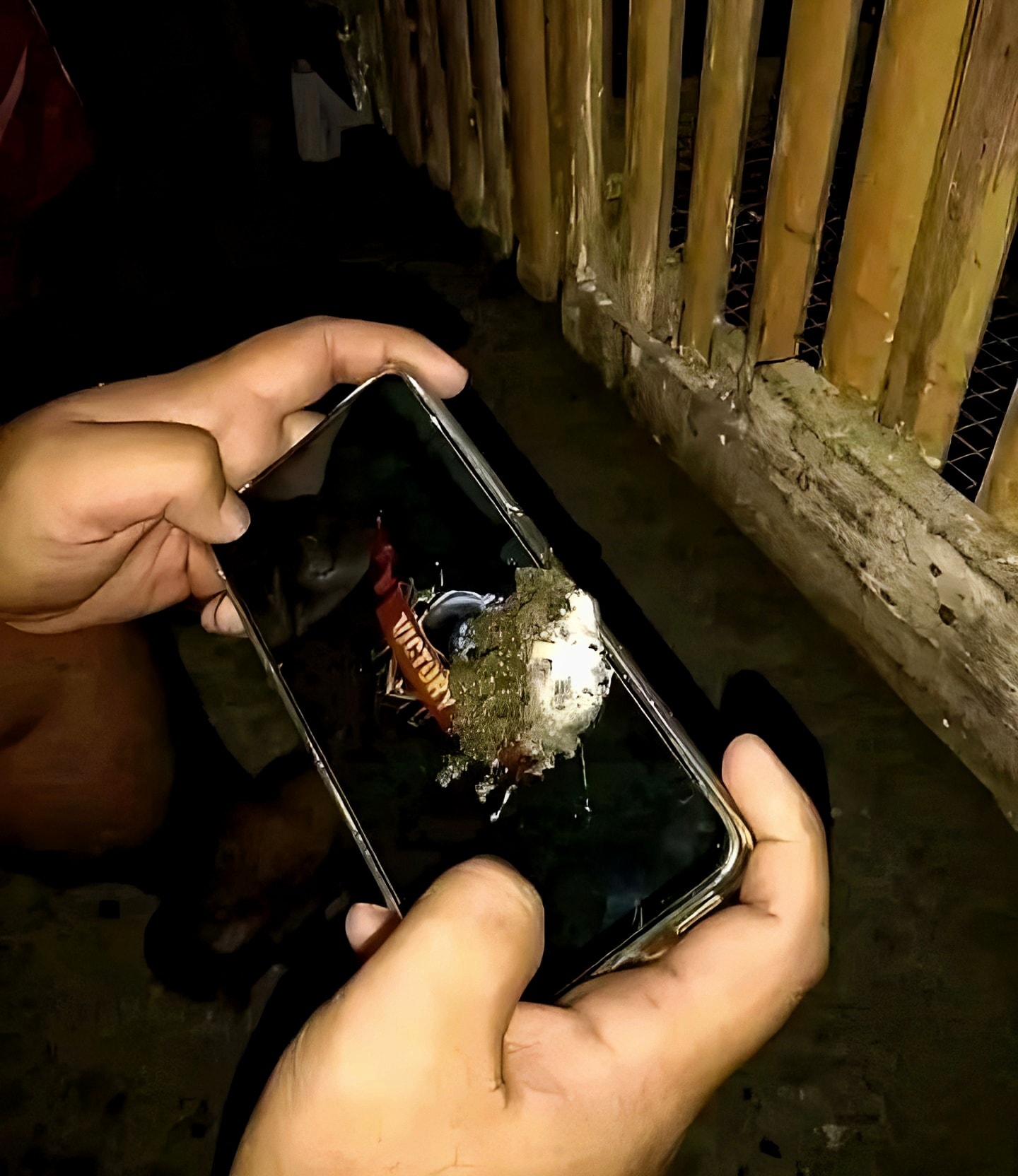 Mobile - Ok lang yan at least panalo 🤣🤣 | Facebook