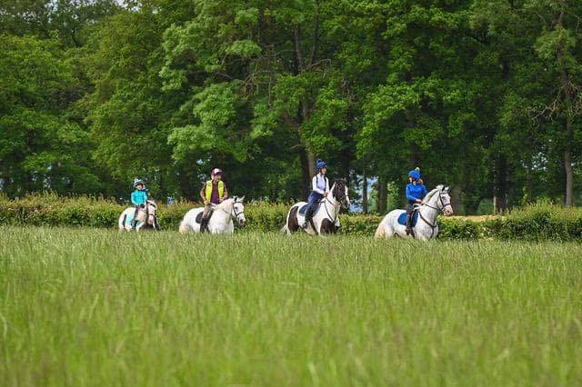 KC Riding School. Supporting Kc horse rescue