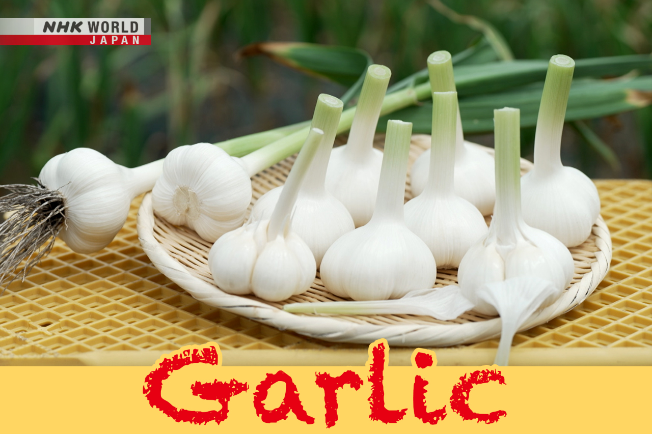 NHK WORLD-JAPAN - The appeal of garlic goes beyond just... | Facebook