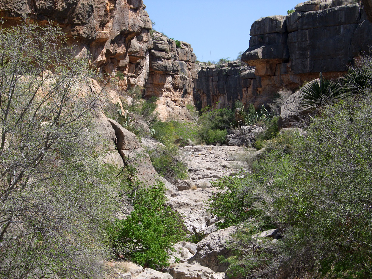 The American - Devils Den, an enclosed limestone ravine in Big Bend ...