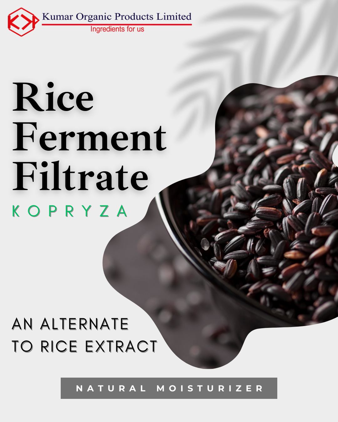 Meet Kopryza (Rice... - Kumar Organic Products Limited | Facebook