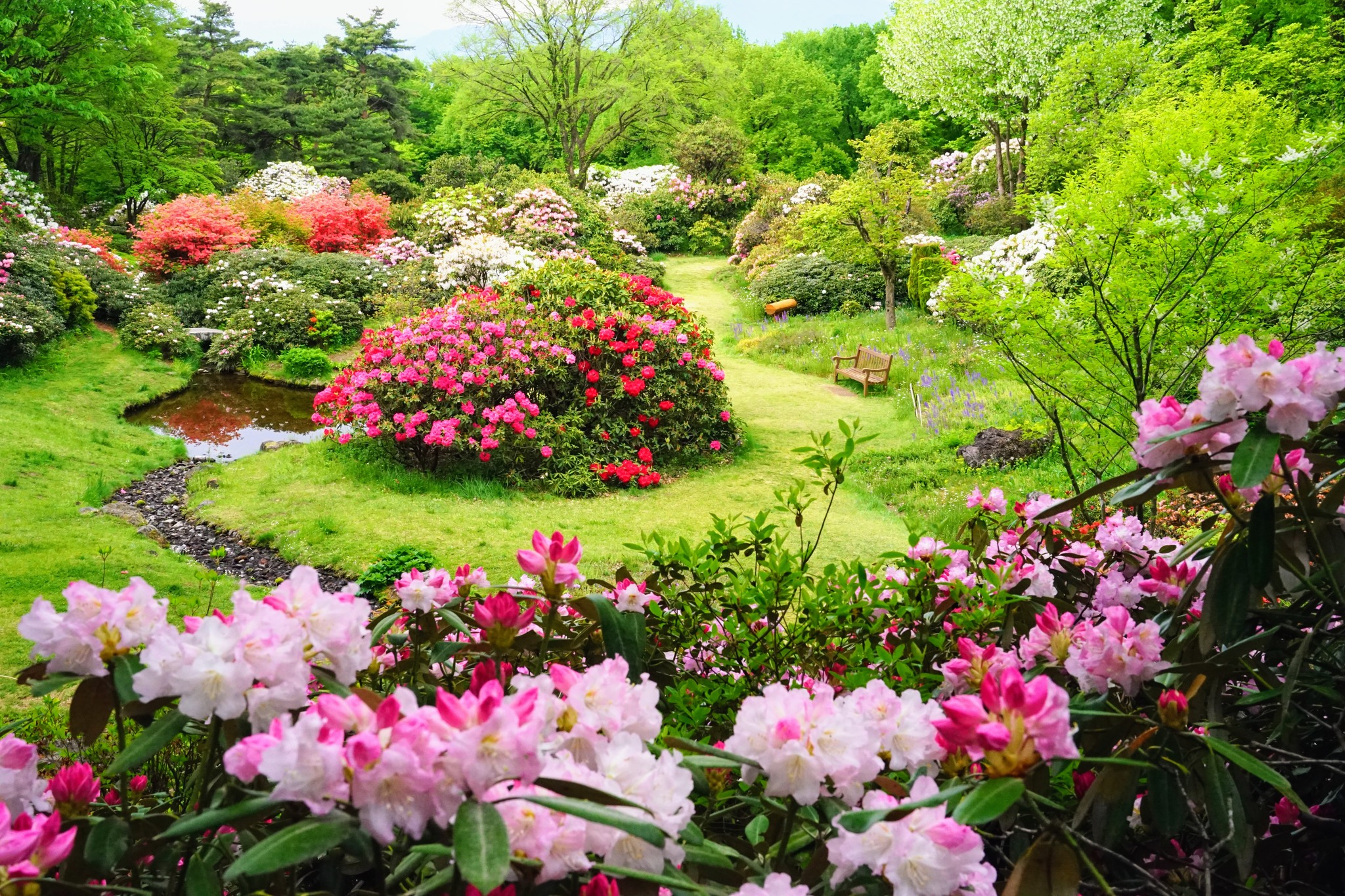 朝日フォトコン - 6月13日（土）14：00から15：00まで、交流ワークショップをします。題して～写真にお手紙を書こう！～ 写真に興味の ...