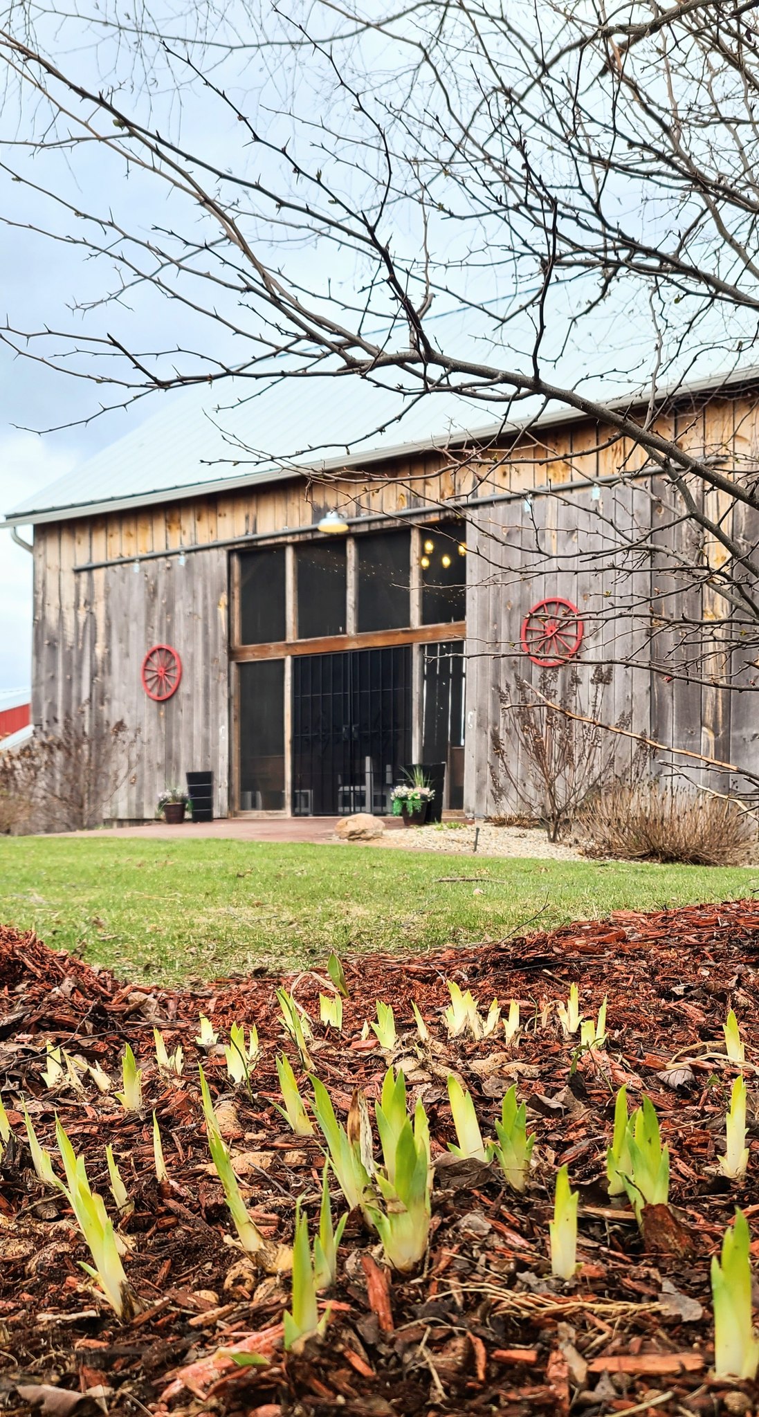 The Ridge View Ranch | Kent City MI