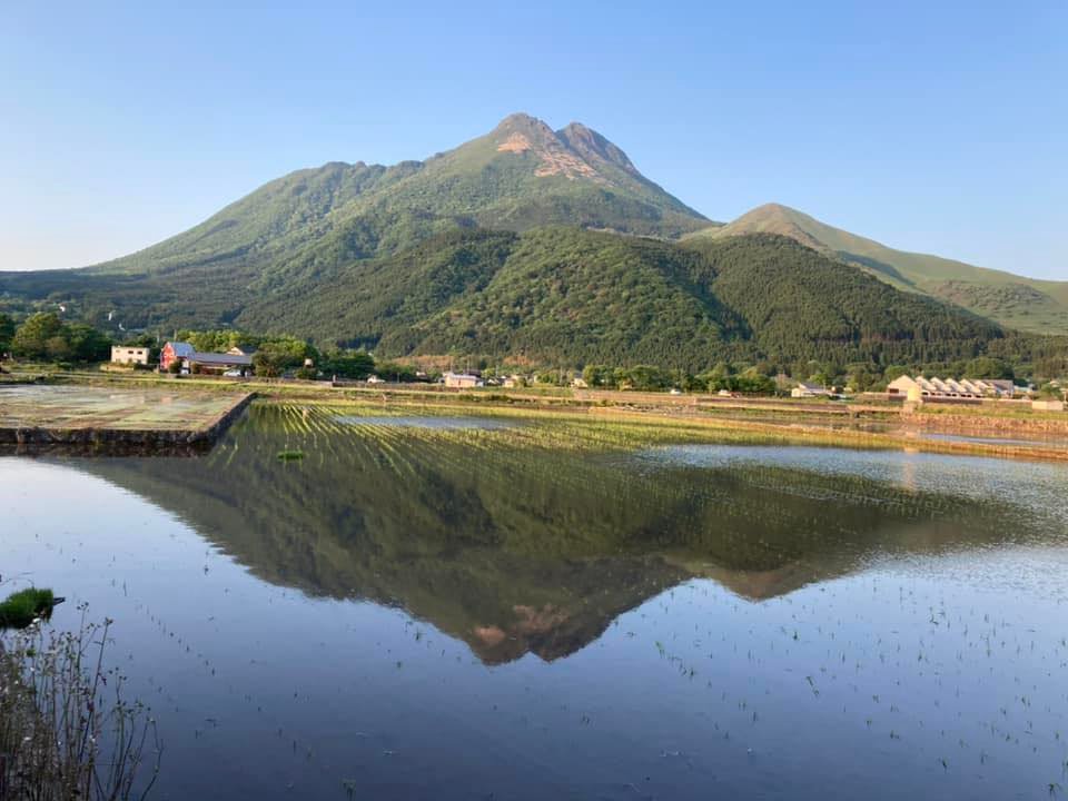 湯布院のにがおえ屋さん - 湯布院のにがおえ屋さん added a new photo.
