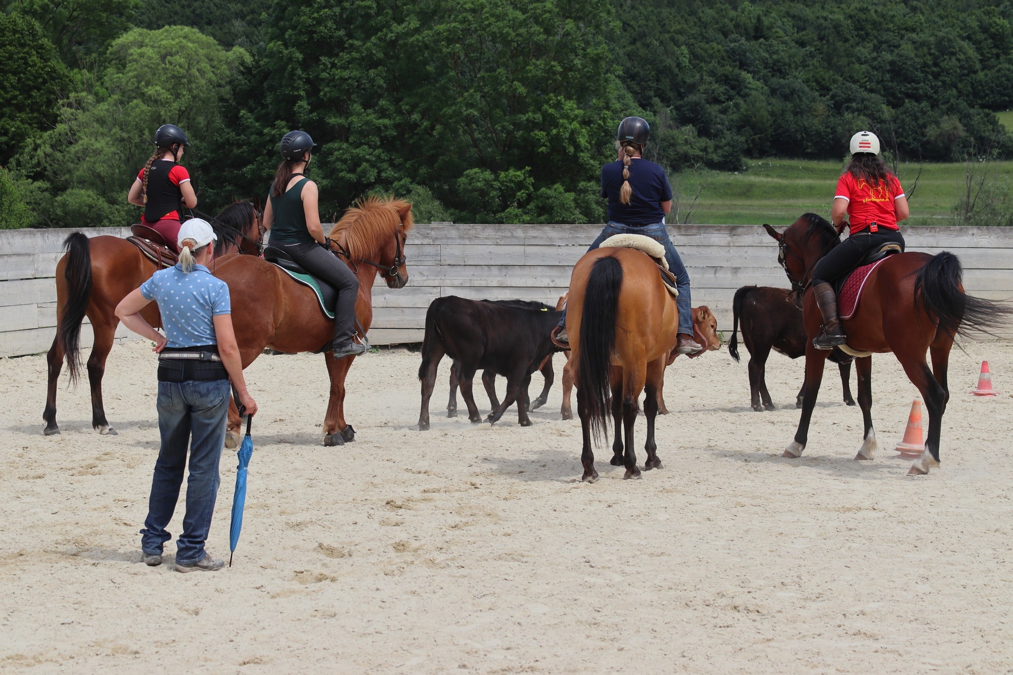 Sonja Kroneis Westernreiten - altkalifornisch und Natural Horsemanship