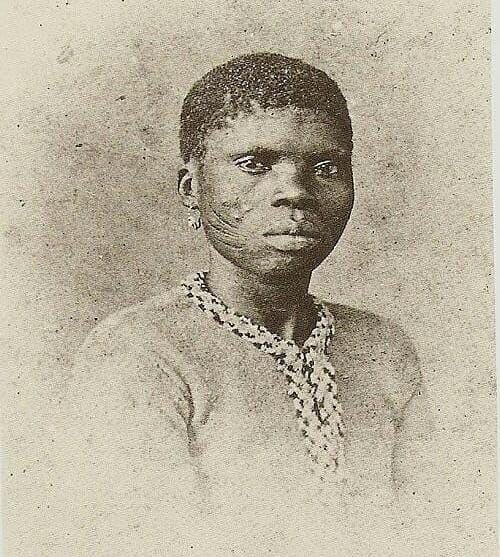 Forbidden - Edmond Albius was just a 12-year-old boy, enslaved and ...