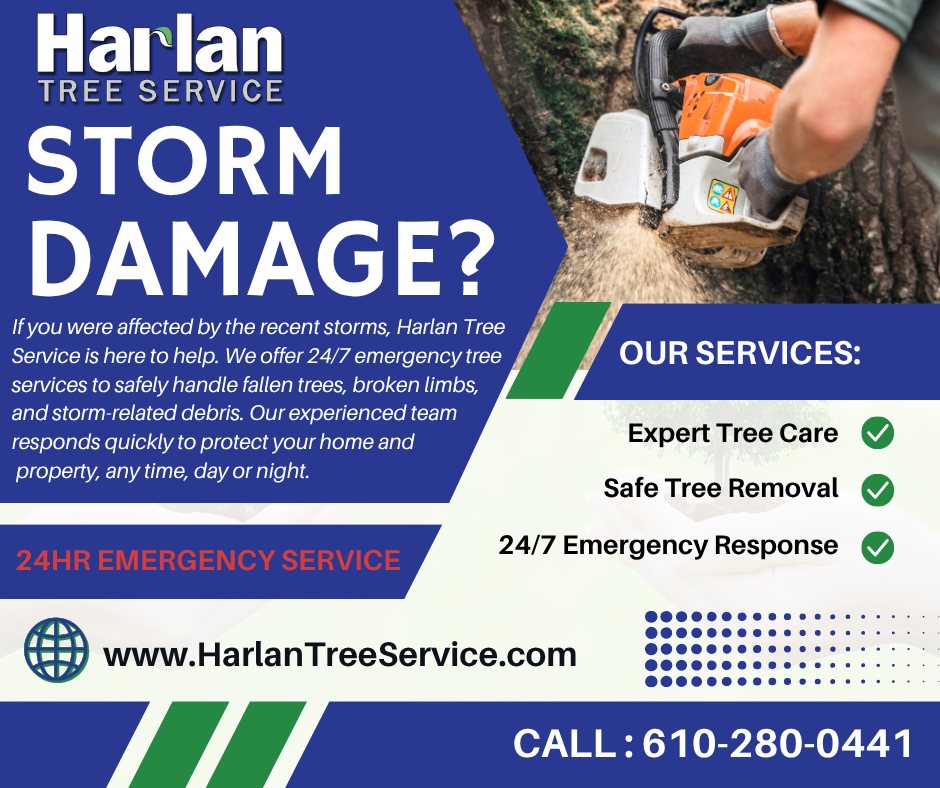 Harlan Tree Service | Exton PA