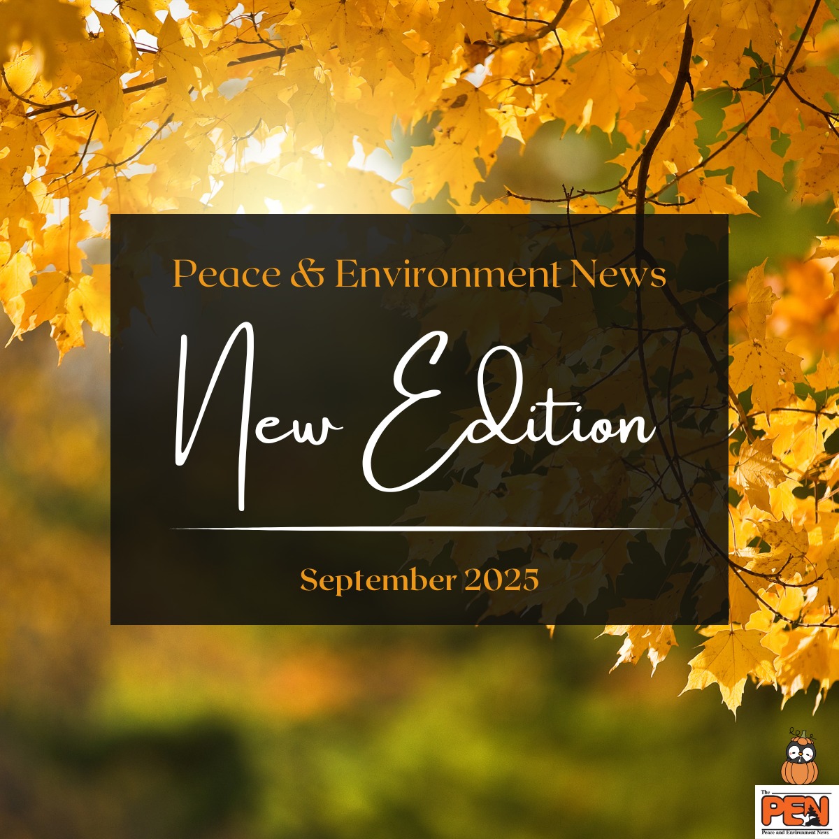 In case you missed... - Peace and Environment Resource Centre | Facebook