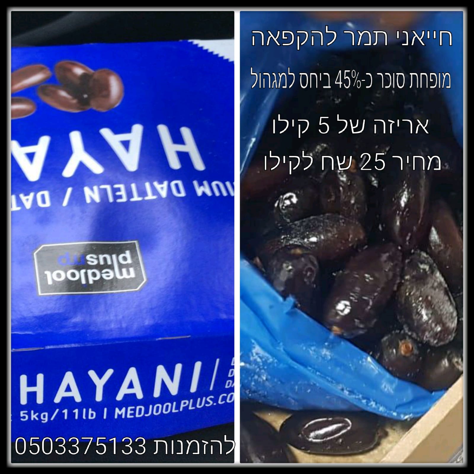 למכירה תמרים בסיטונאות וליחידים