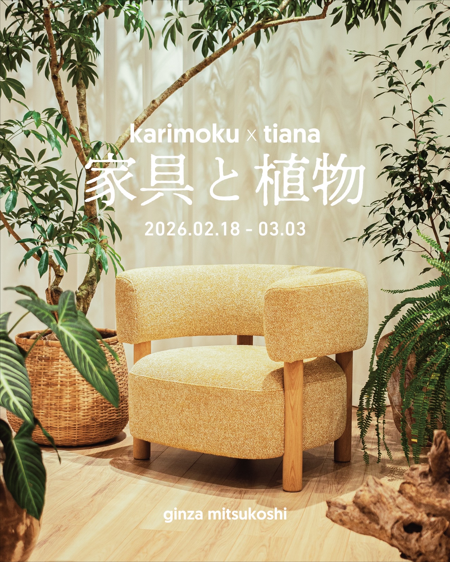 TIANA STORE | Sagamihara-shi Kanagawa