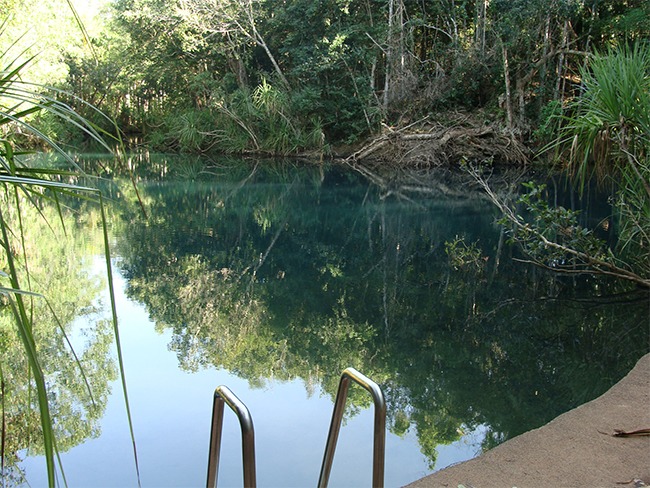 🚧 Berry Springs... - Northern Territory Parks and Wildlife | Facebook