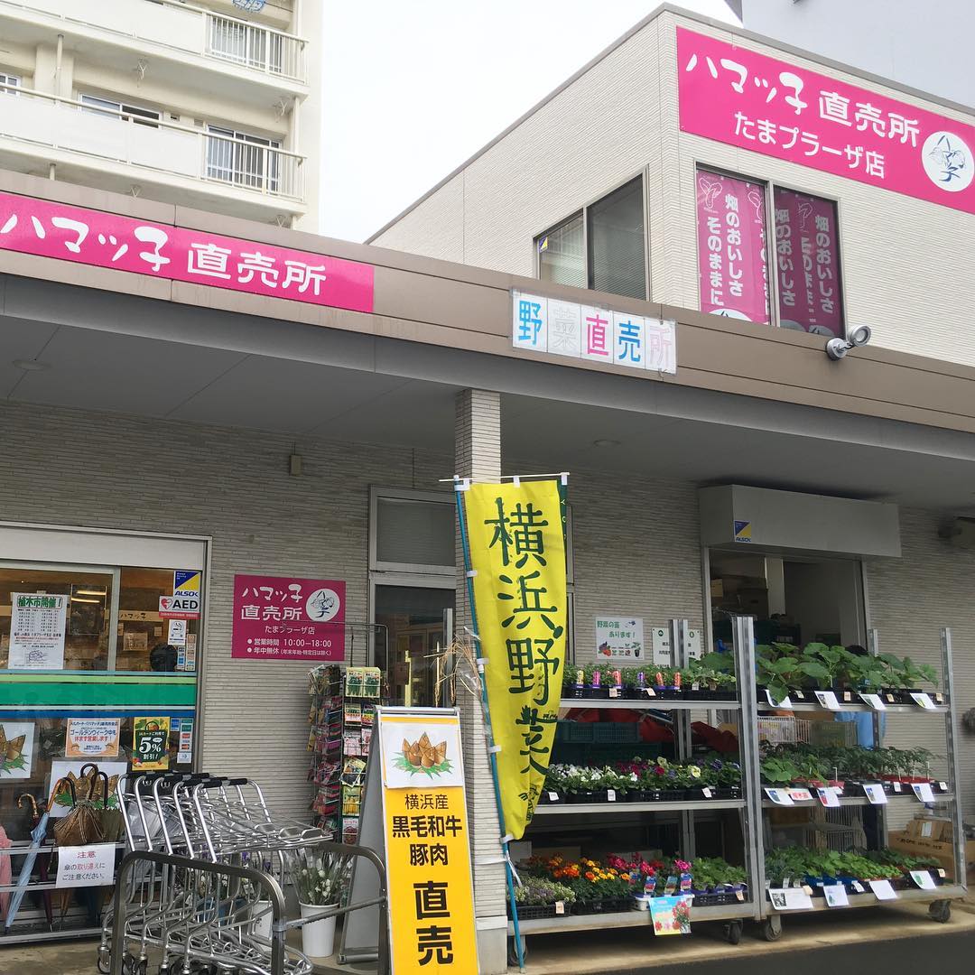 アマンダリーナ 入荷情報 Ja横浜ハマっ子たまプラーザ店 Ja横浜ハマっ子中里店 Ja横浜ハマっ子四季菜館 Facebook