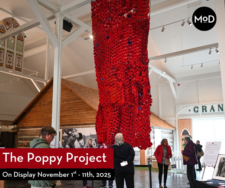 Museum - The Poppy Project is on display from today until November 11th ...