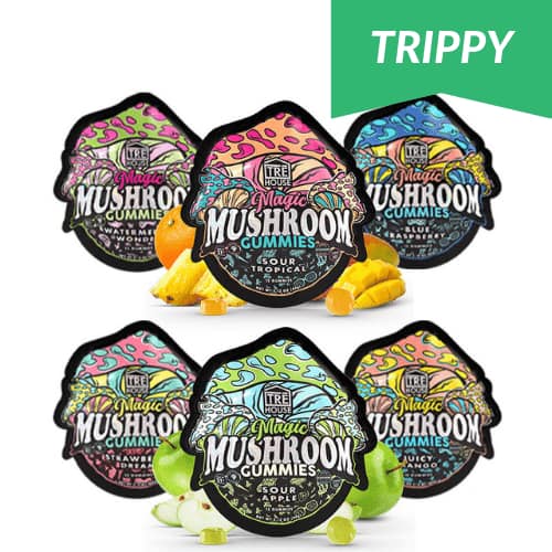 vape himbeere ELF BAR 600 BLAUBEERE HIMBEERE