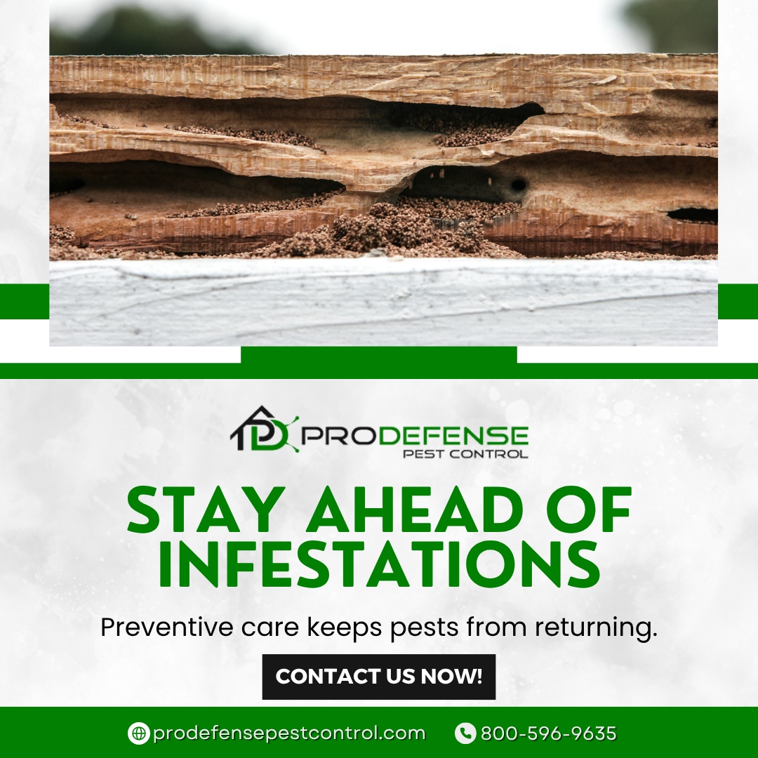 Curated visual reference: Gallery Detail: Pro Stay Ahead Of Infestations Preventive Care Keeps Pests From