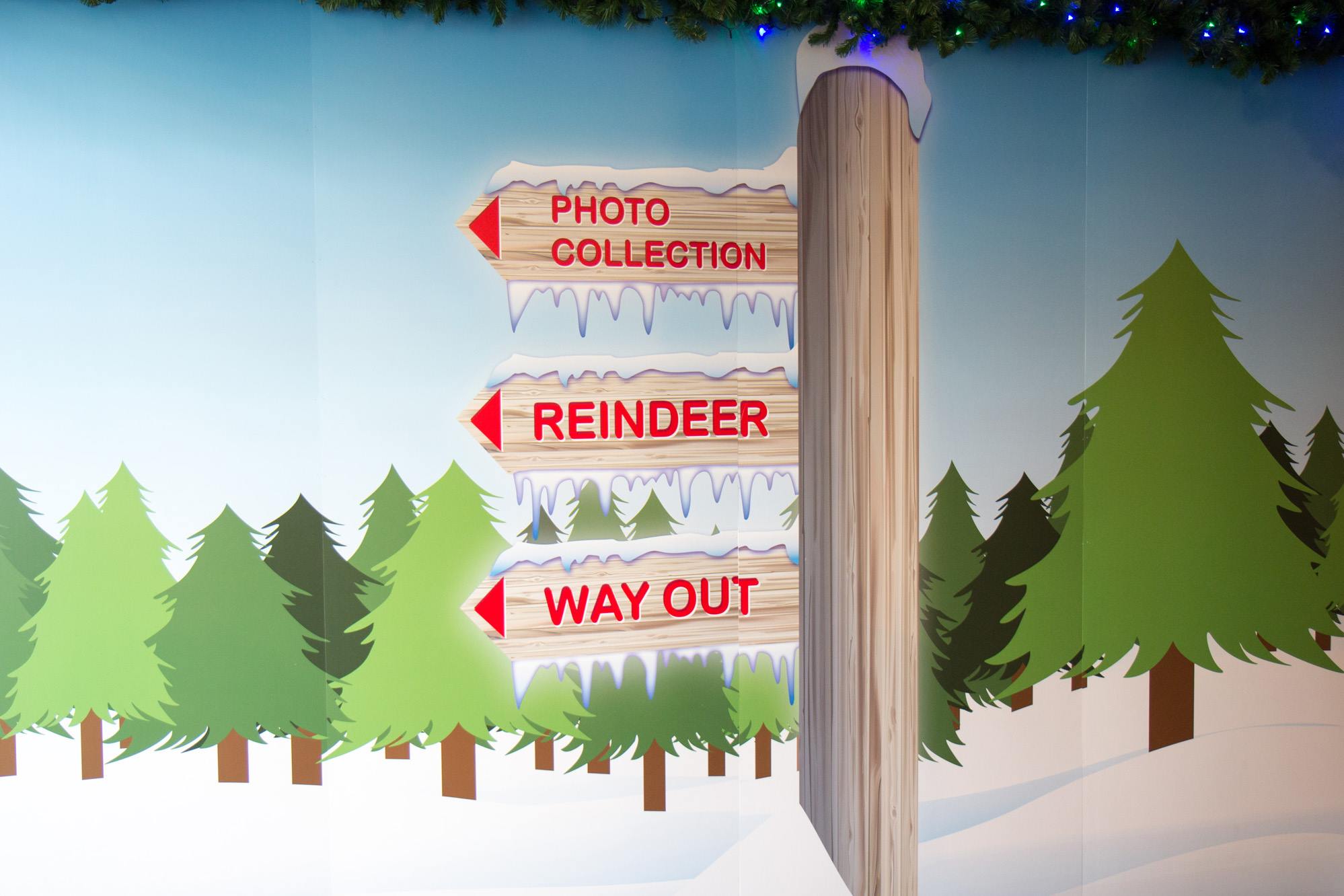 Meet Santa and his real... - Springtime Nurseries Crews Hill | Facebook
