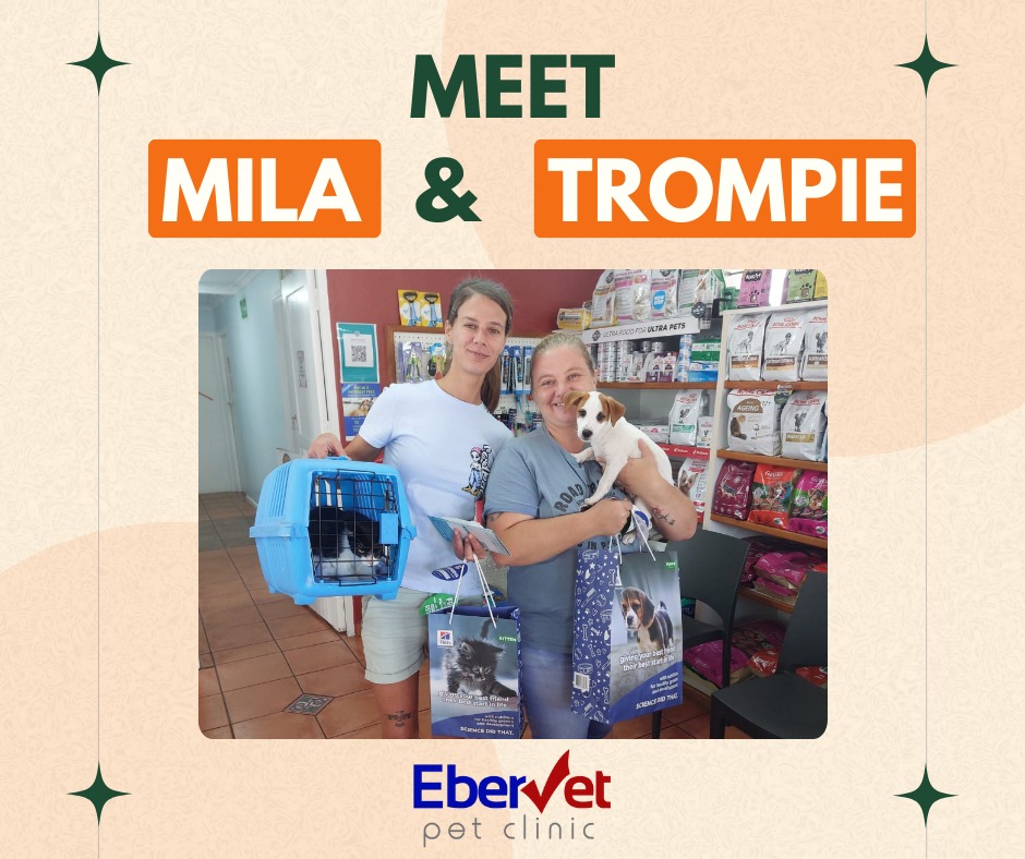 EberVet - 🐾 Clinic Cuties (and their parents) Alert! 🐾 Trompie and Mila ...