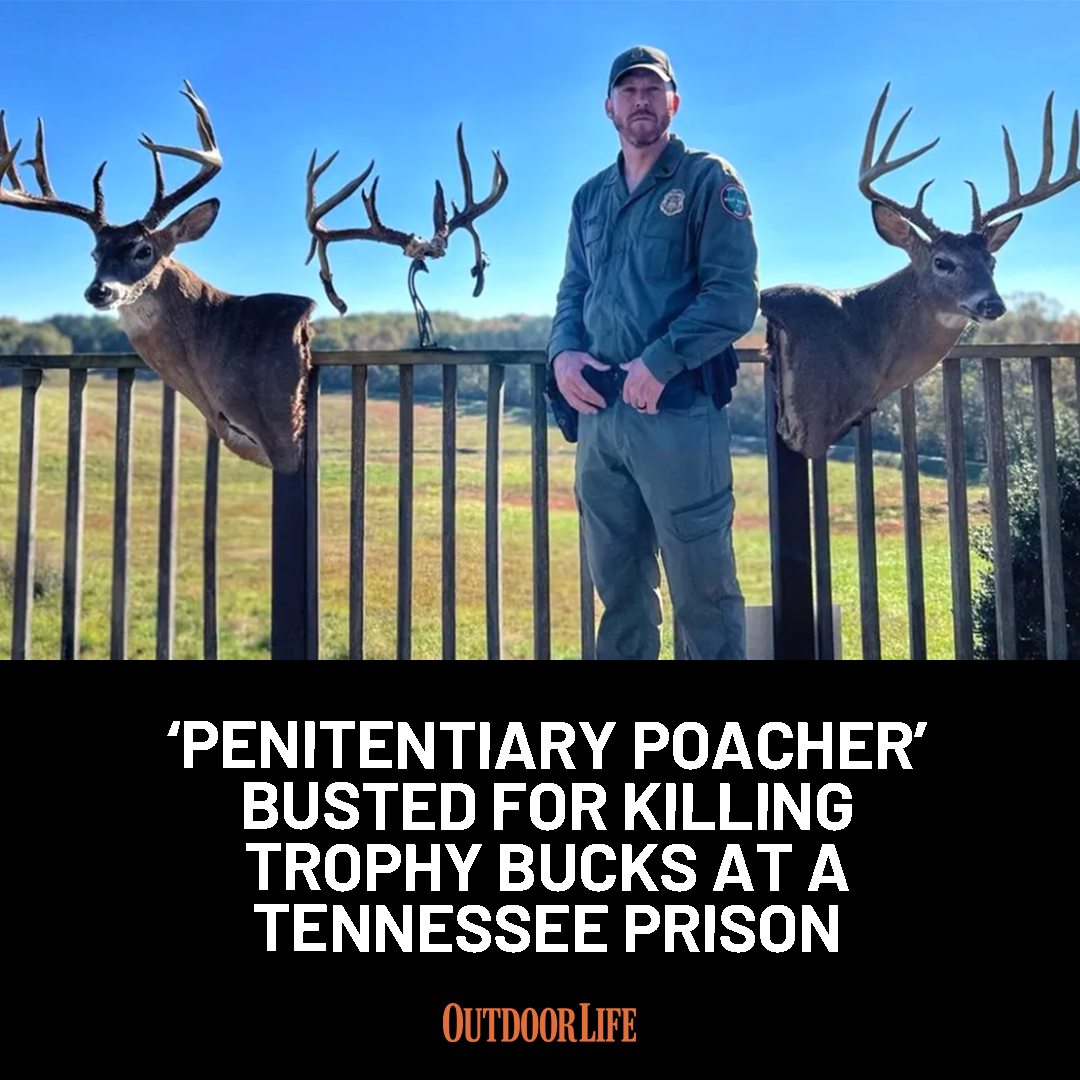 Outdoor - The 53-year-old poacher pleaded guilty to illegally taking ... - Inches Which Guilt Consumes