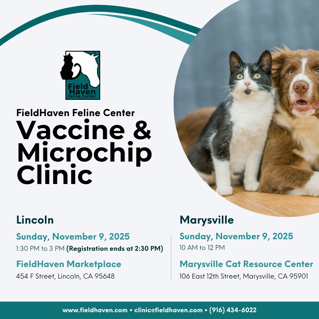 🐾 Spread the word, pet people! 🐾 Our next low-cost vaccination