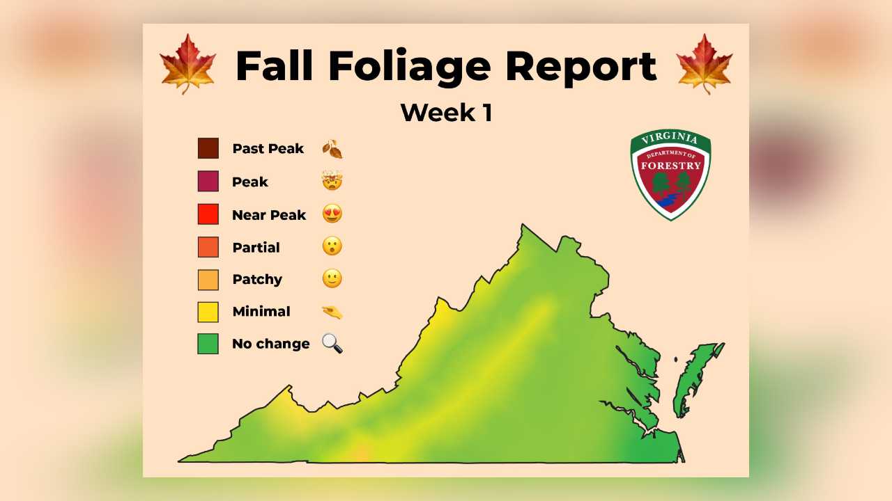 ABC - Attention, leaf peepers! Virginia’s first fall foliage report of ...