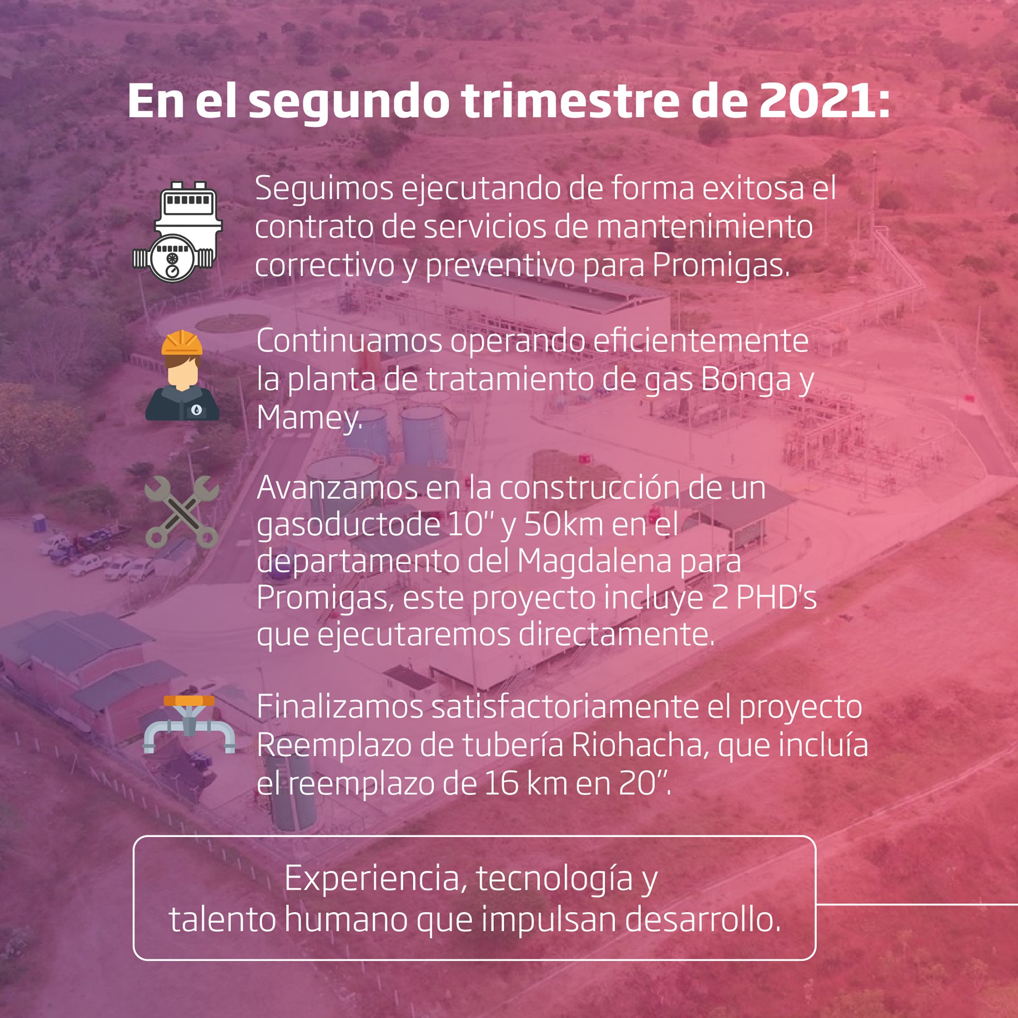 Promisol - En el segundo trimestre de 2021 destacamos... | Facebook
