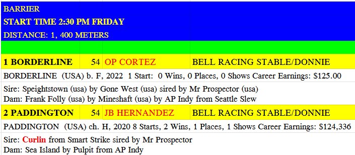 Horse - It's indeed exciting to witness Mr. Elmer De Leon's of Bell ...