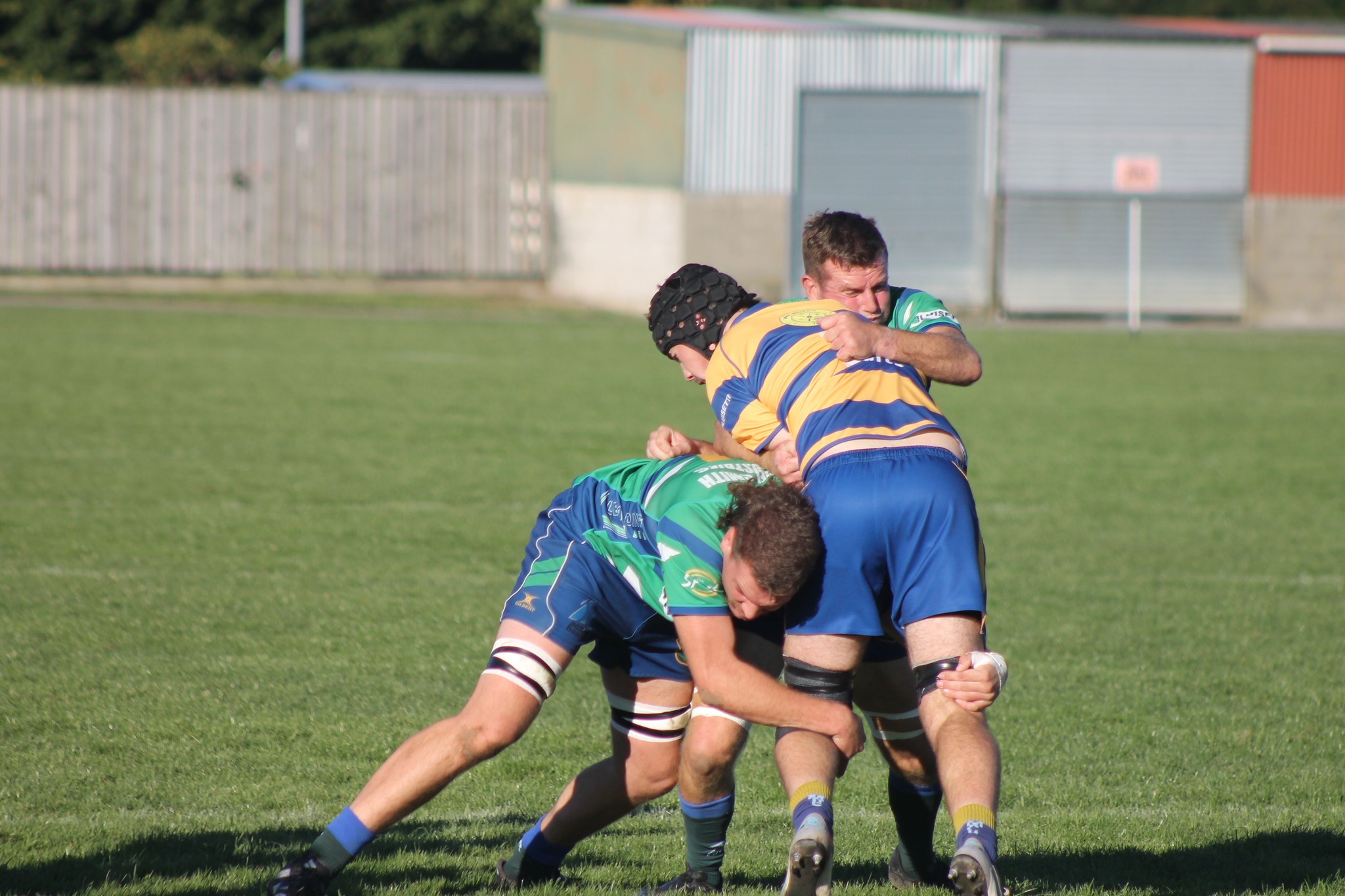 Ashley Rugby