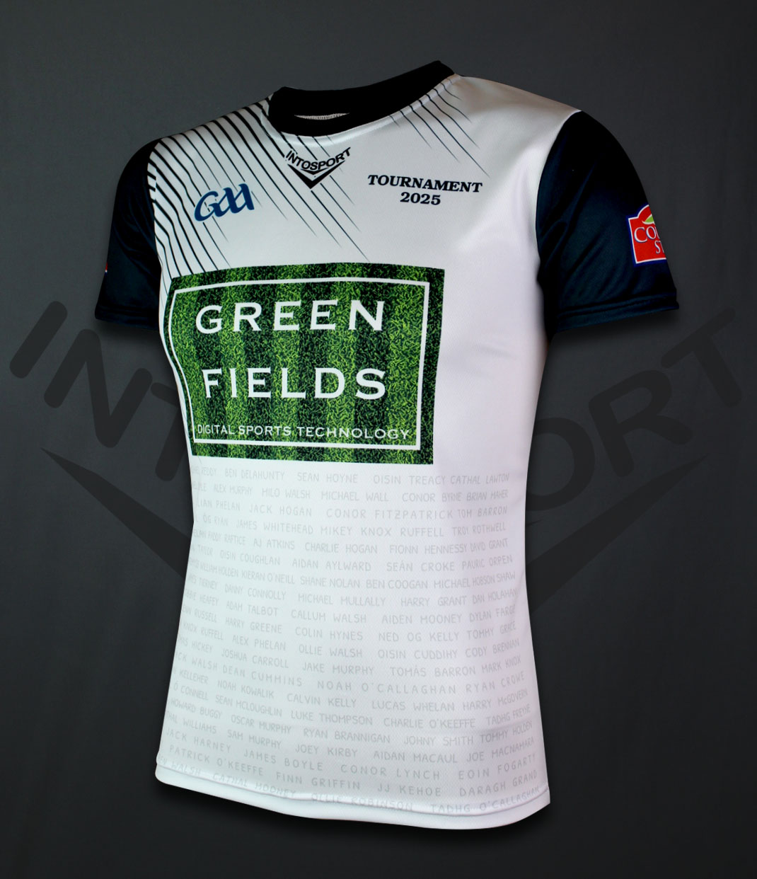 Intosport.ie - What a cracking Official GAA I-Lite Training Jersey ...