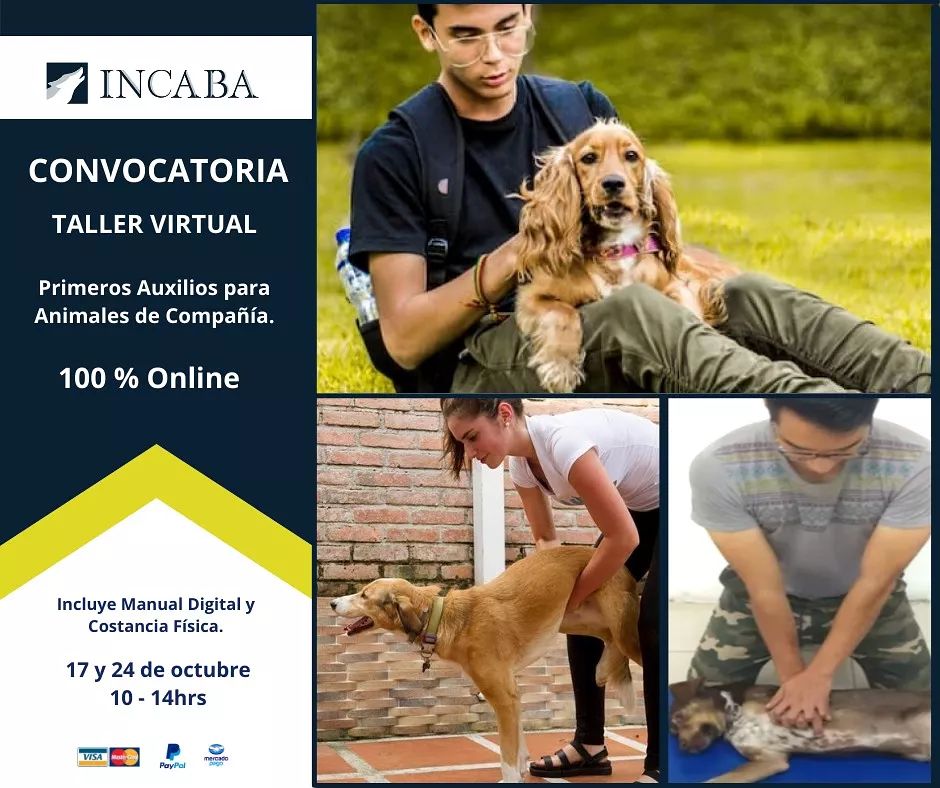 🐶🙀📣📣📣 No te pierdas el... - Incaba Servicios Profesionales