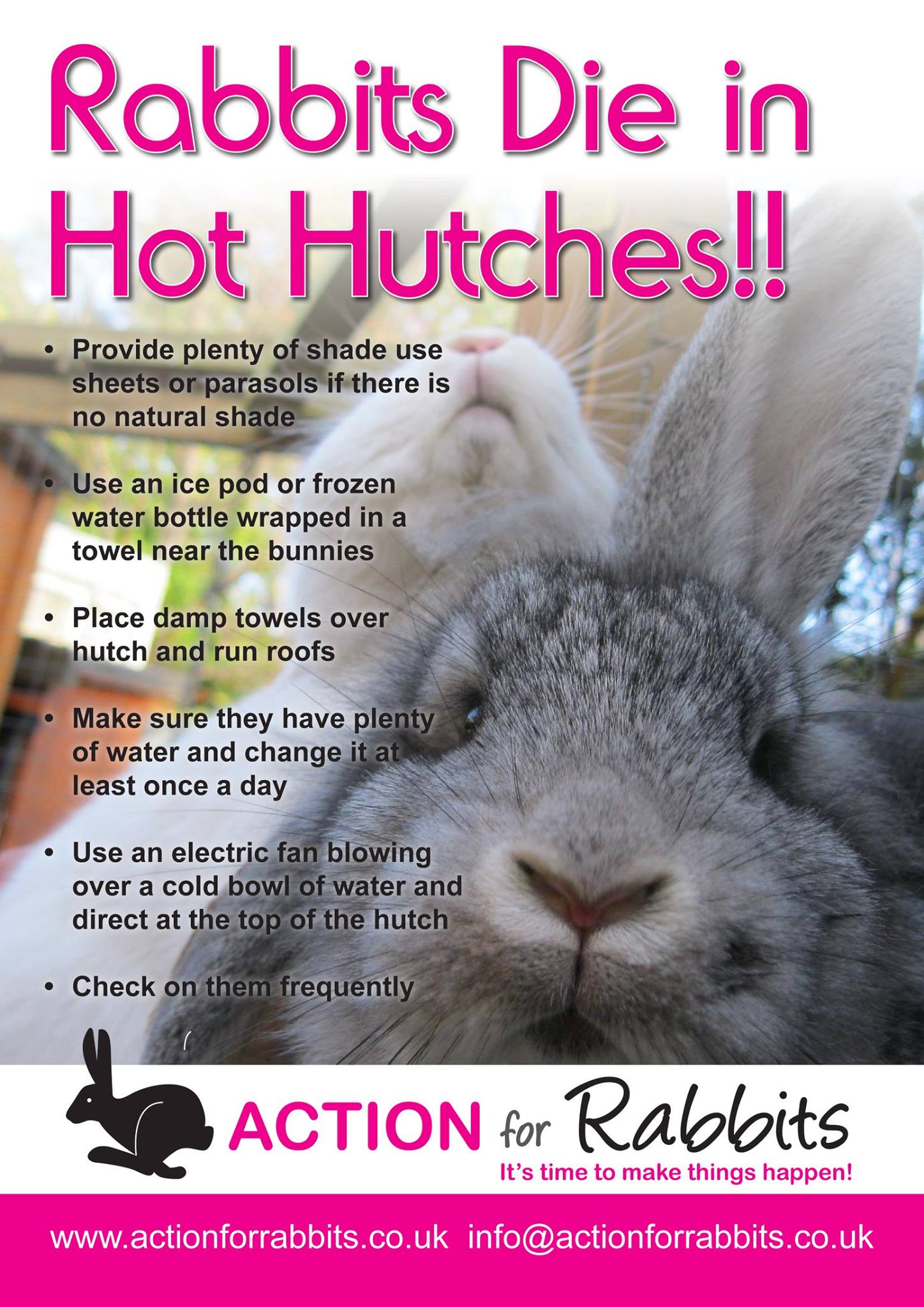 Action for Rabbits - Hot hot hot in the UK and temperatures set to go ...