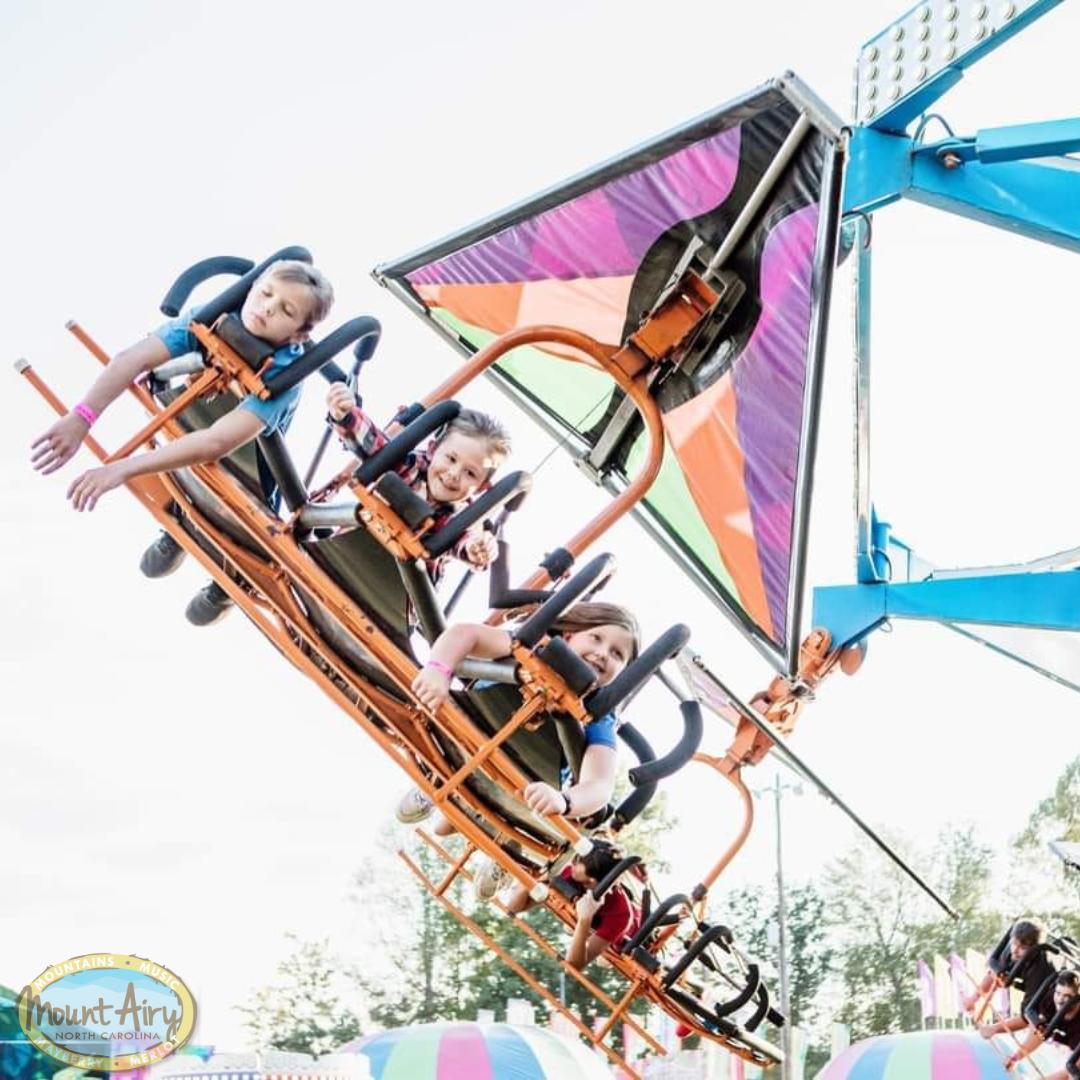 Visit - 🎡 Don’t let his face fool you—he’s having the time of his life ...