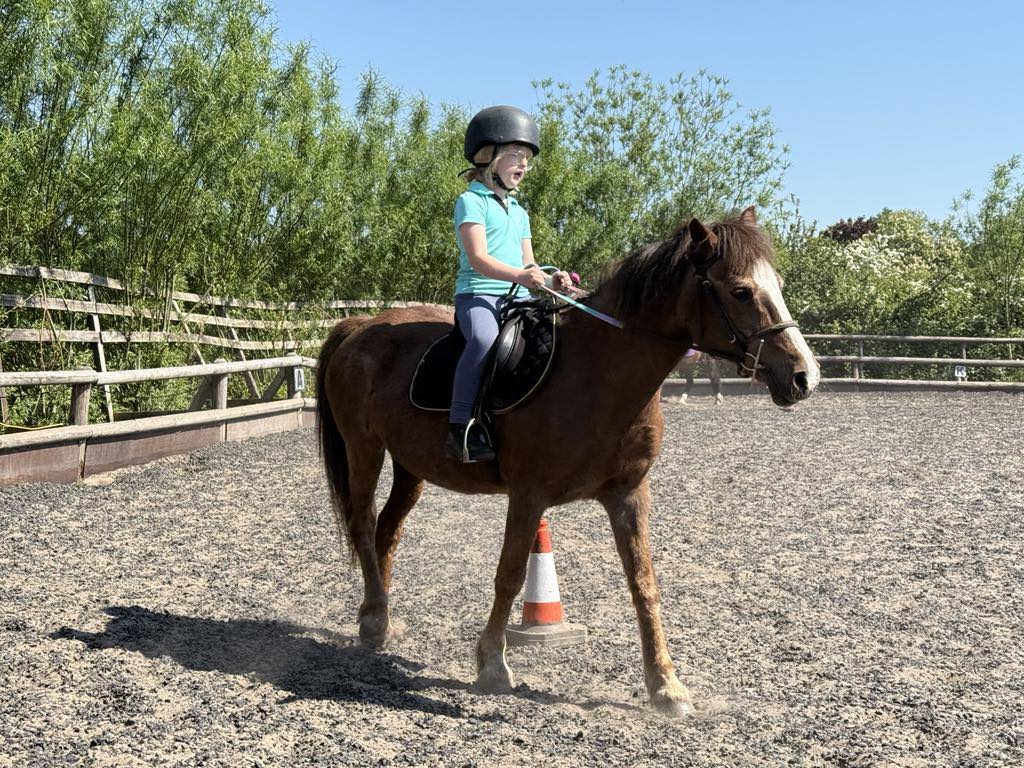 KC Riding... - KC Riding School. Supporting Kc horse rescue