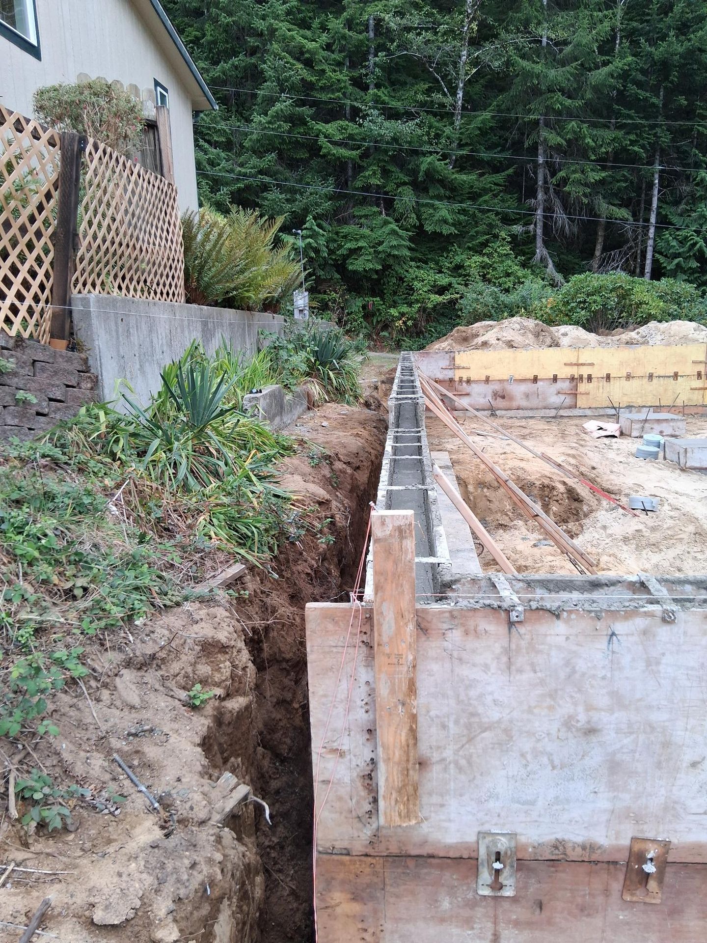 Wolf - A lakefront slope in Florence, OR isn’t exactly a forgiving ...
