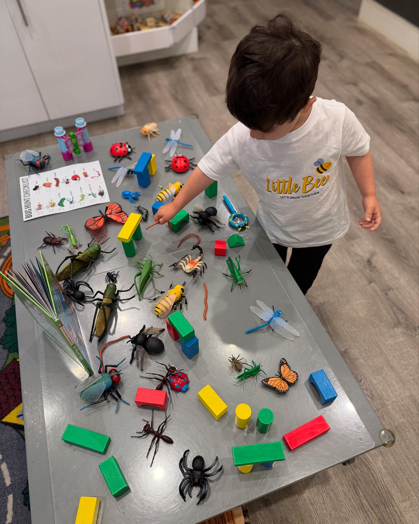 Little Bees Family Day Care LLC | New York NY