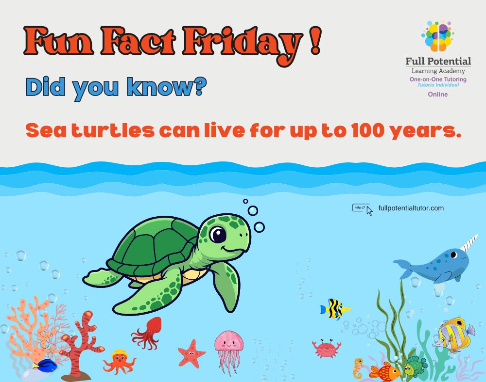 Full - 🌊 Did you know? Sea turtles can live up to 100 years! 🐢💙 A ...