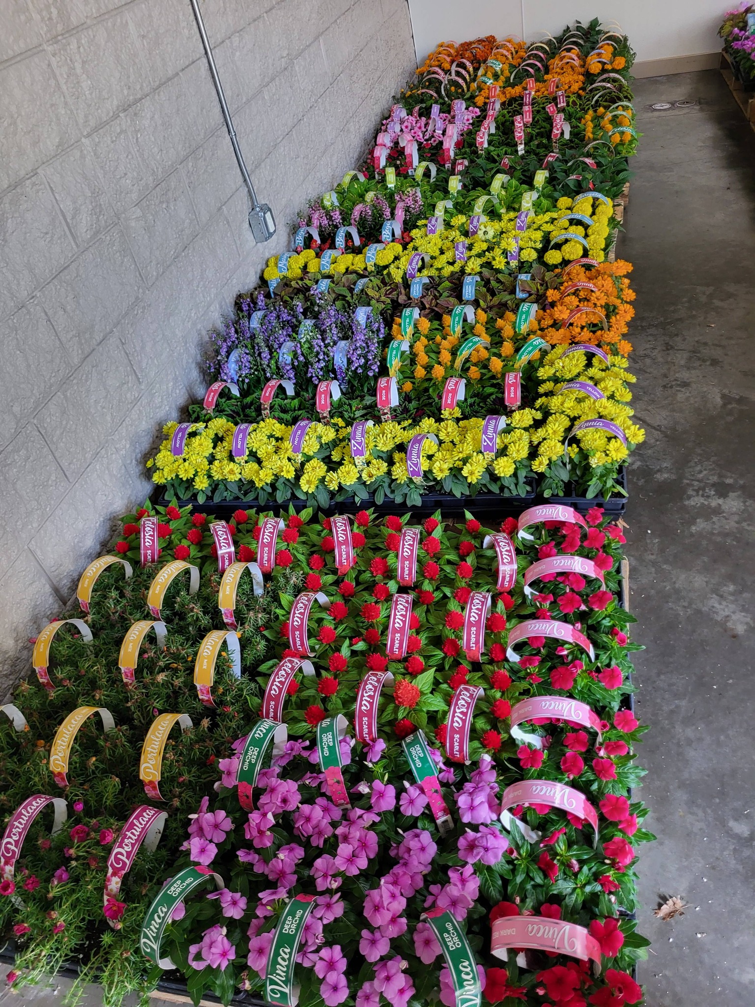 Rural King Supply | Gainesville FL