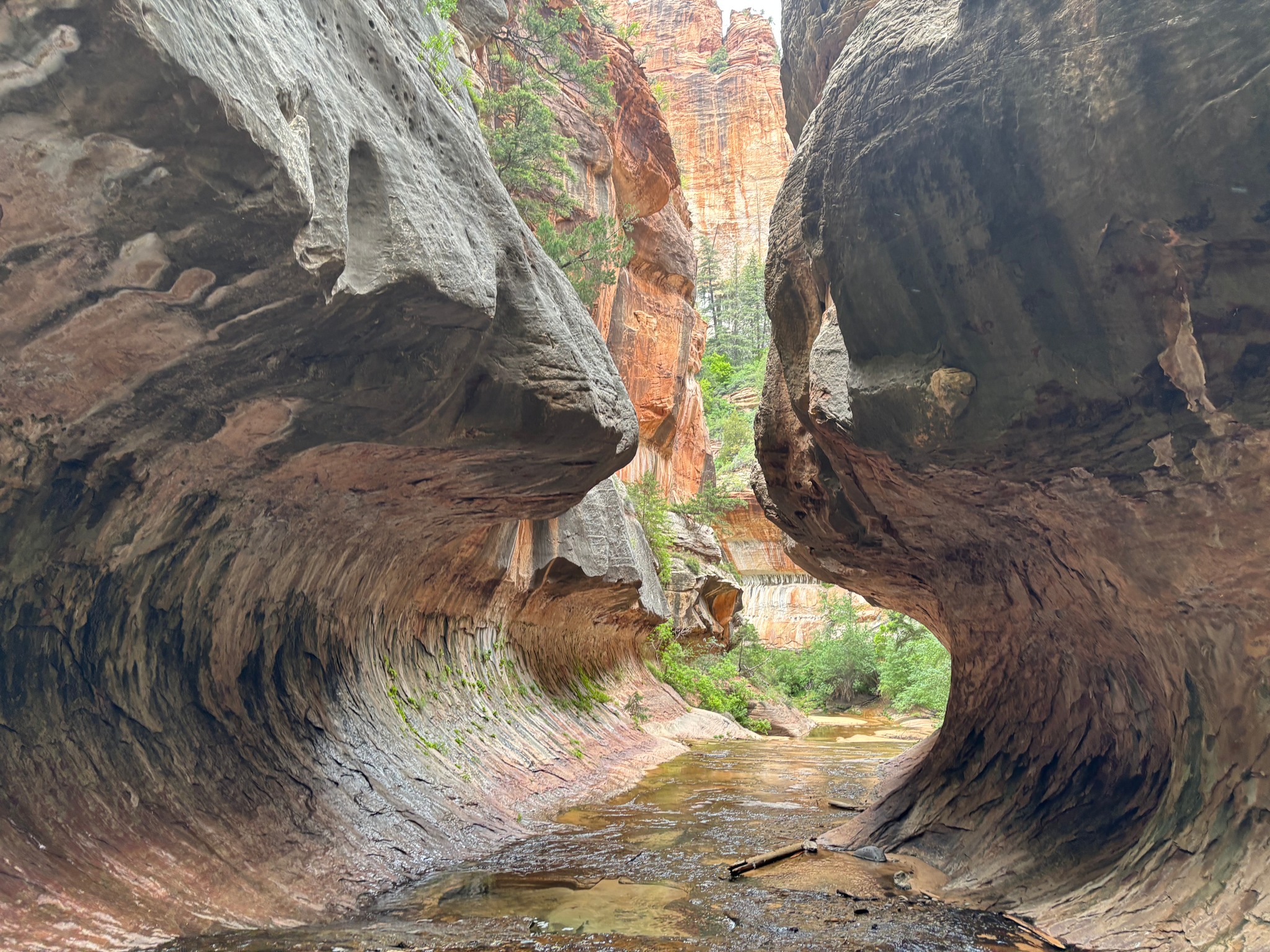 KSL - Zion National Park rangers are working without pay since the ...