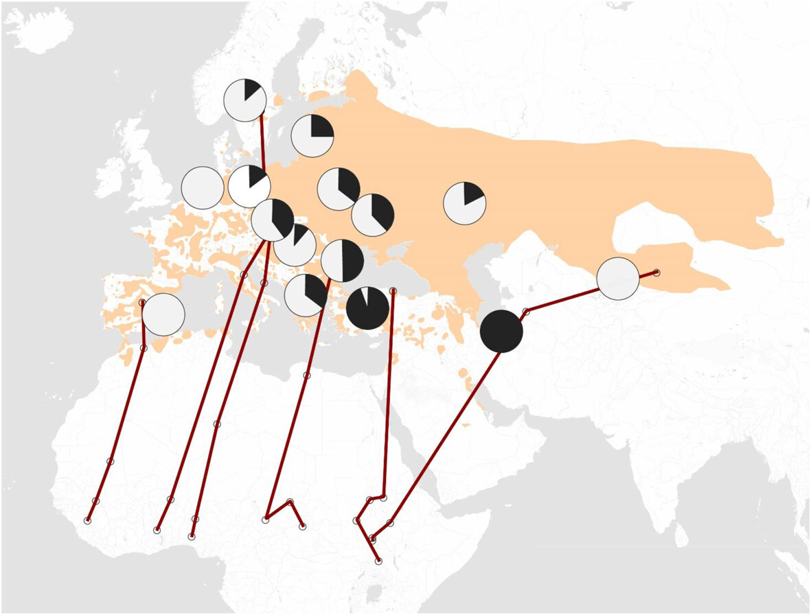 Journal of Avian Biology - Researchers find one of the few demonstrated ...